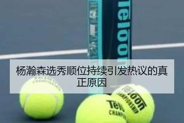 杨瀚森选秀顺位持续引发热议的真正原因